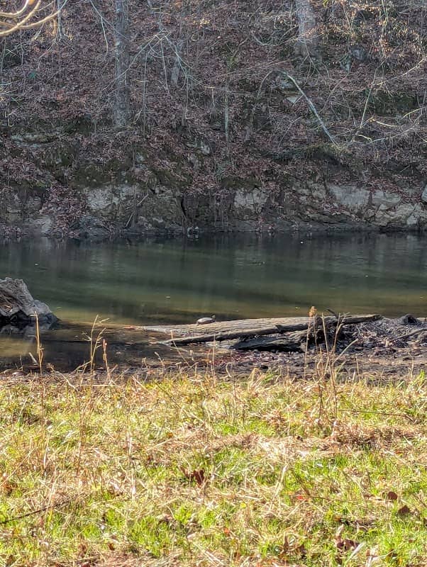 Swinging Bridge Park - Image 1