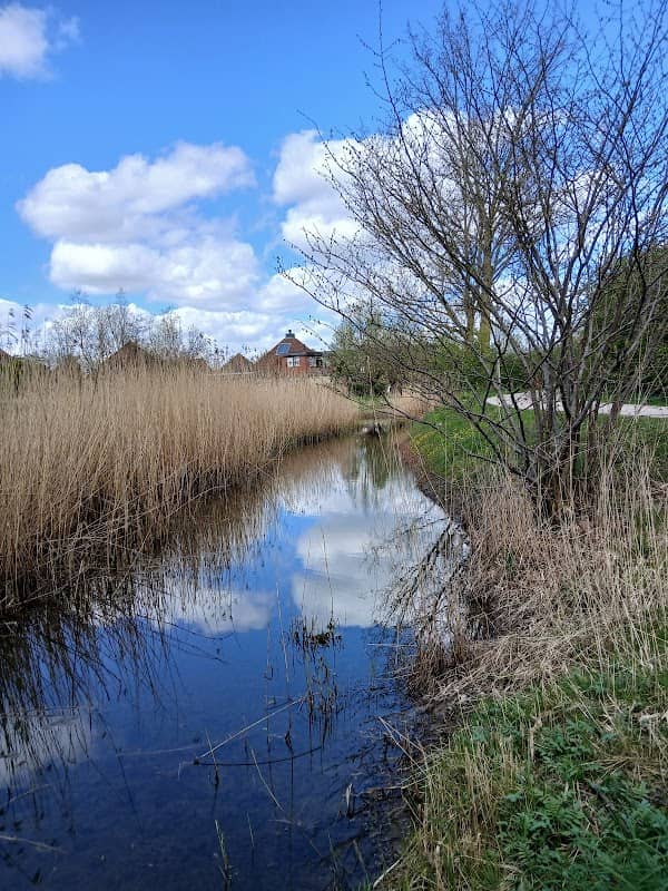 De Wierdoevers - Image 1