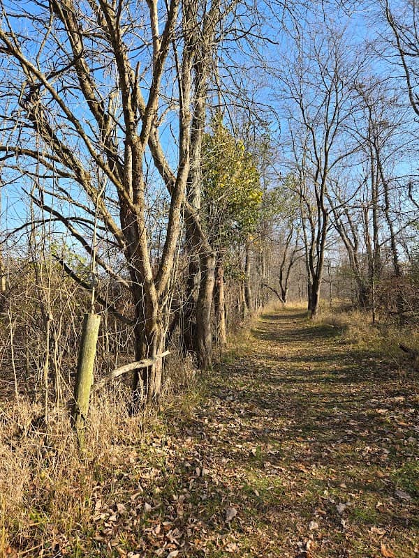 Bluffton University Nature Preserve - Image 1