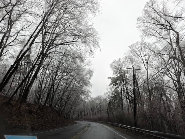 Mount Tom Wildlife Management Area - Image 2