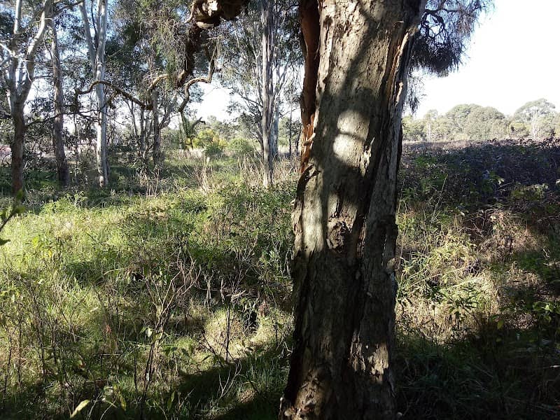 Caddies Creek Conservation Area Reserve - Image 1