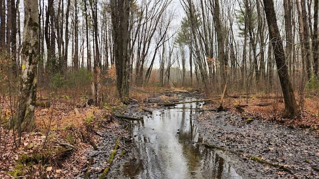 Katherine Cole Conservation Area - Image 1