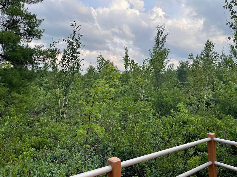 Arbutus Bog - Image 1