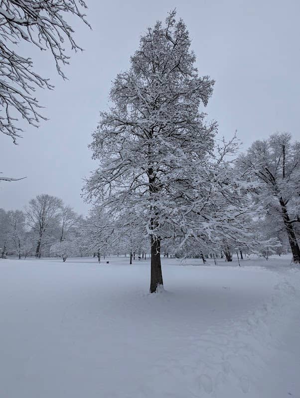 Kur Park - Image 1