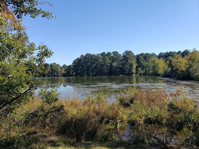 Diamond Lakes Regional Park - Image 1