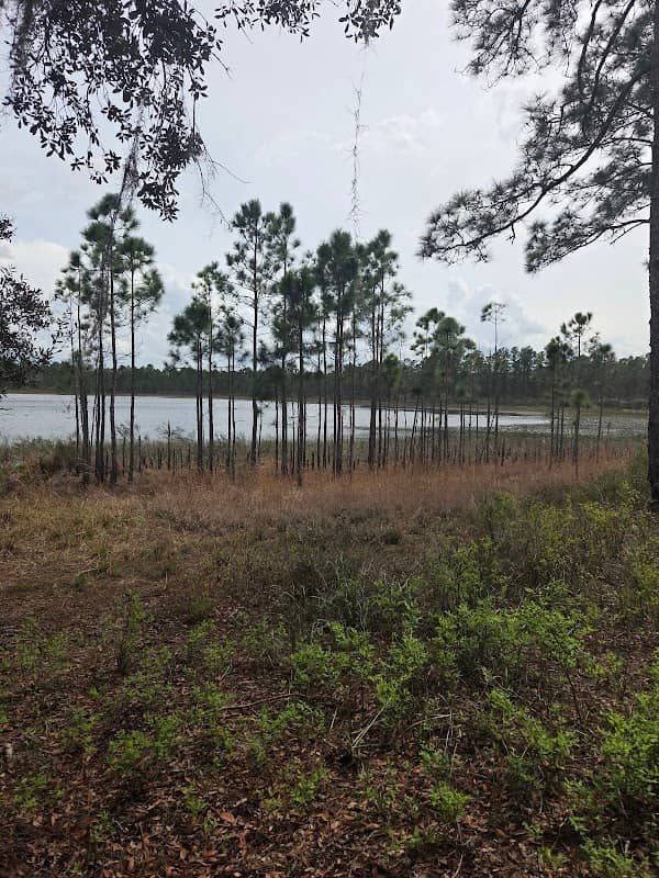 Clearwater Recreation Area - Image 2