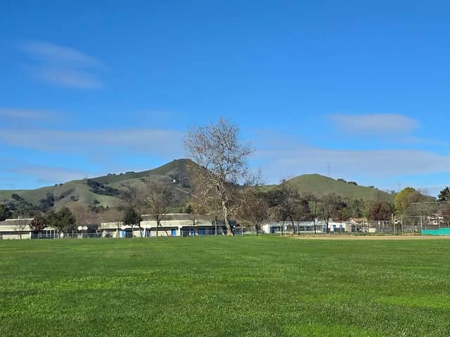 Paradise Park - Image 2