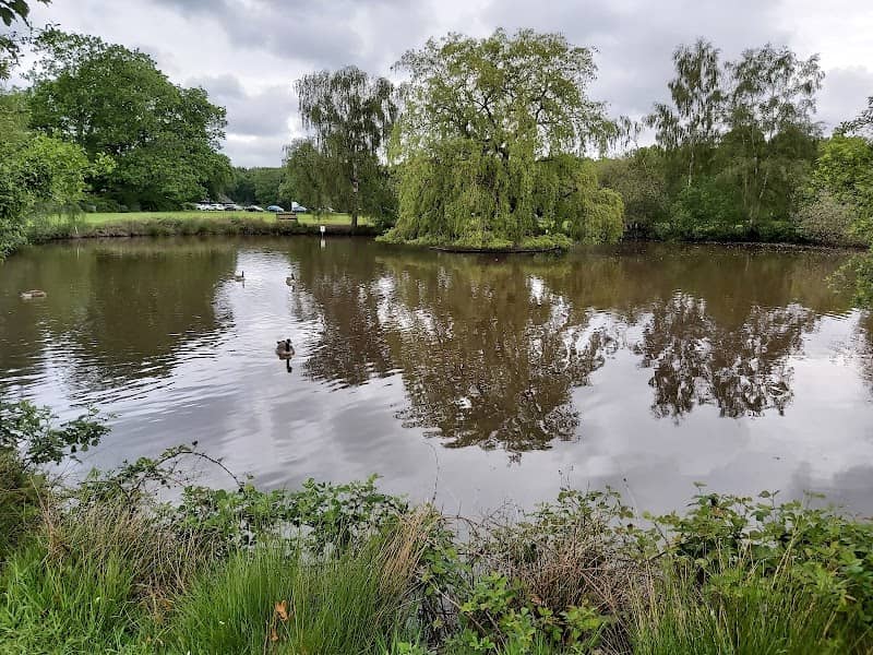 Pirbright Village Green - Image 1