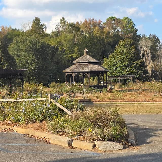 Thomasville Rose Garden - Image 2