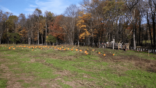 Cunningham Family Farms - Image 1