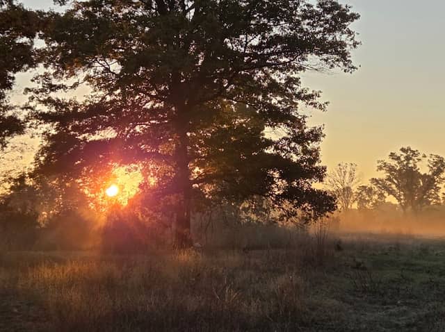 Buckhorn Barrens State Natural Area - Image 2