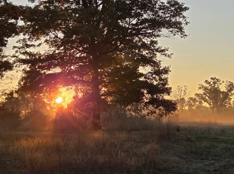 Buckhorn Barrens State Natural Area - Image 2