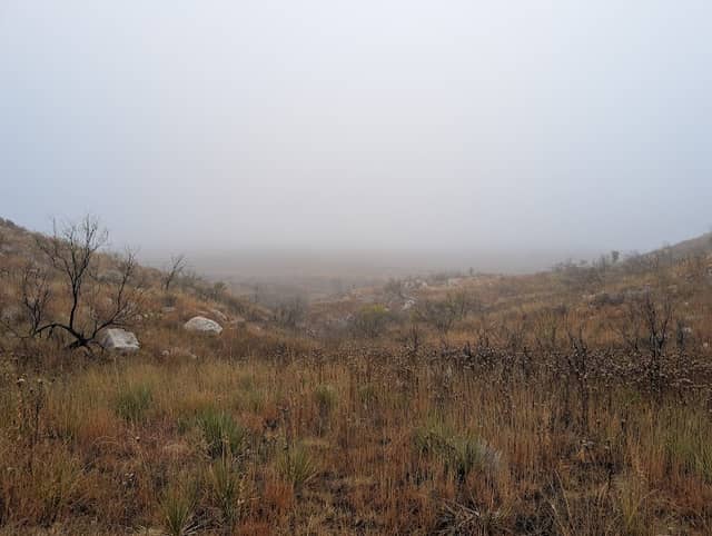 Sanford Recreation Area - Image 1