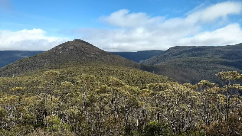 Wellington Park - Image 3