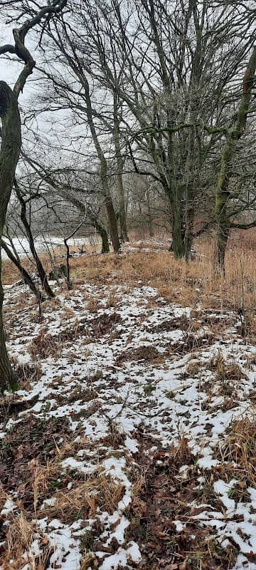 Elsteraue - Image 1