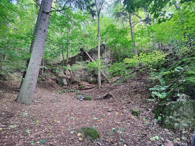 Wald Park - Image 1