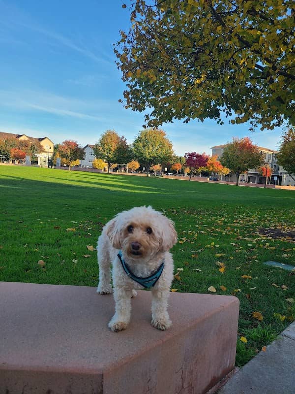 Cannery Water Tower Park - Image 1