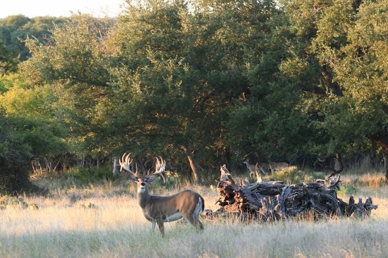 JDG Ranch - Image 1