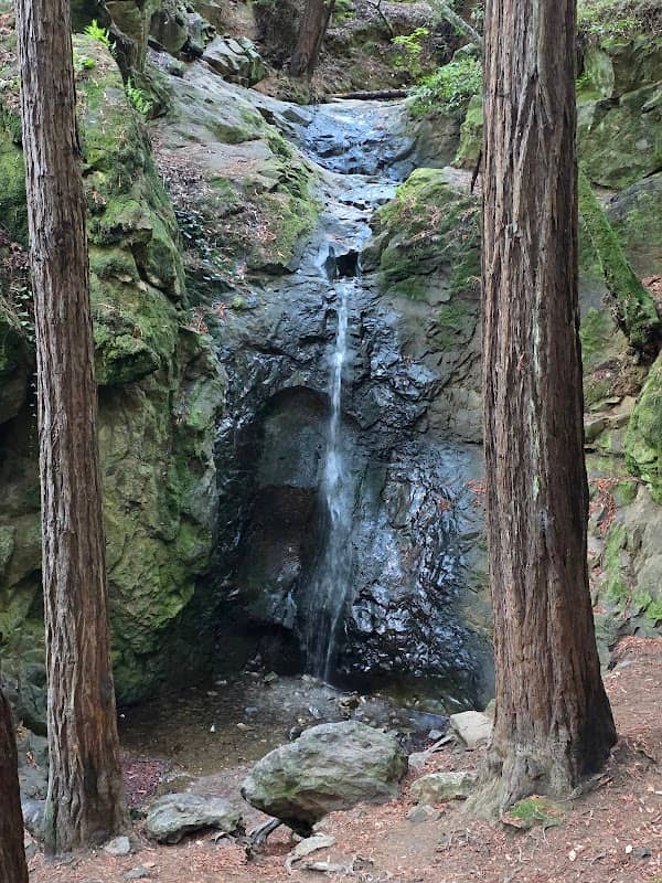 Cascade Park - Image 1