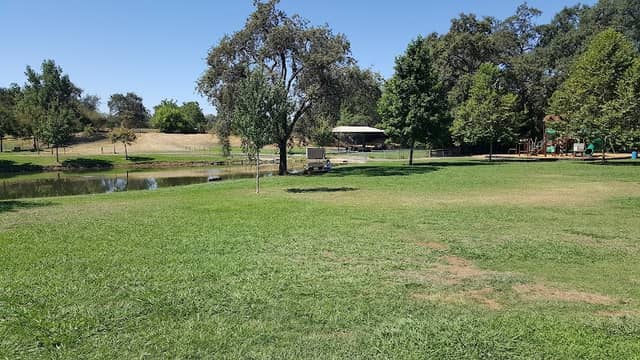 Ashford Park - Image 3