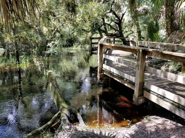 Myakkahatchee Creek Environmental Park - Image 3