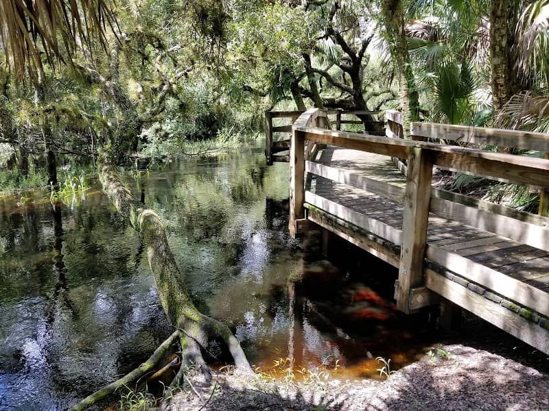 Myakkahatchee Creek Environmental Park - Image 3