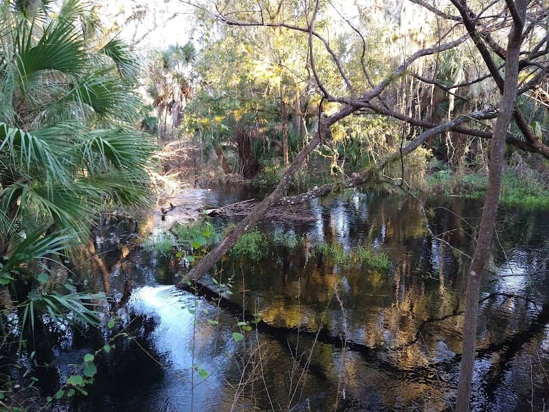 Myakkahatchee Creek Environmental Park - Image 1