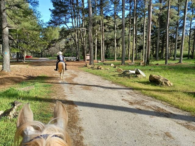 Horse Parking Dawson Forest - Image 2