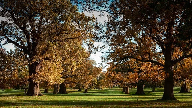 Kingswalden Park - Image 1