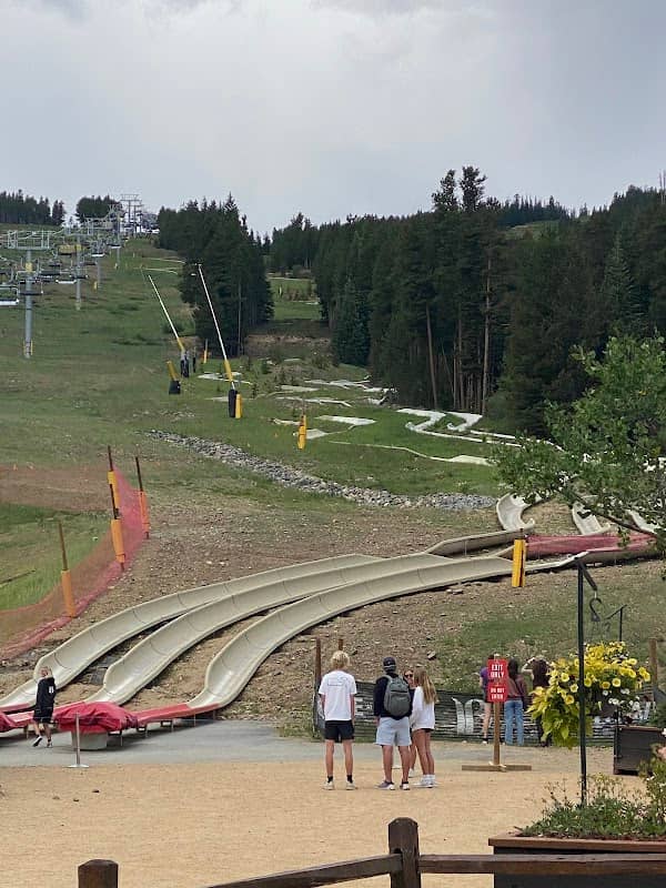 Alpine Slide - Image 2