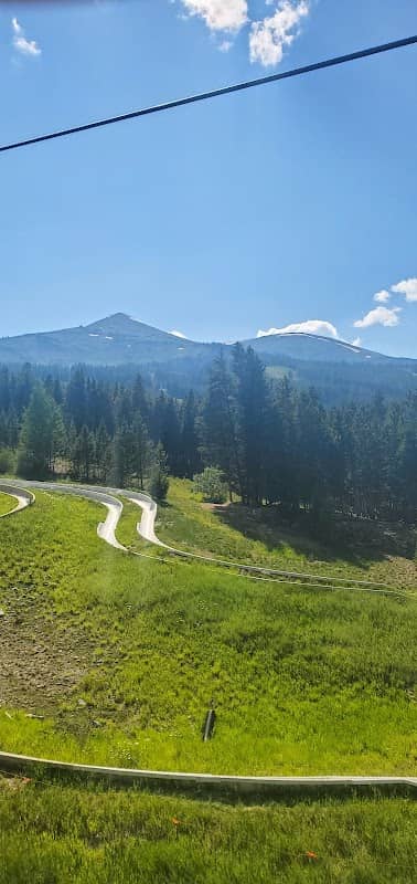 Alpine Slide - Image 1
