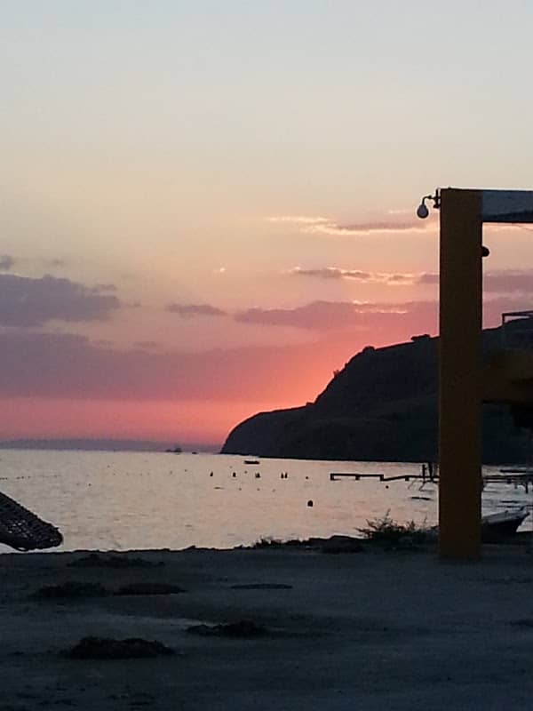 Suna Pekuysal Parkı - Image 1