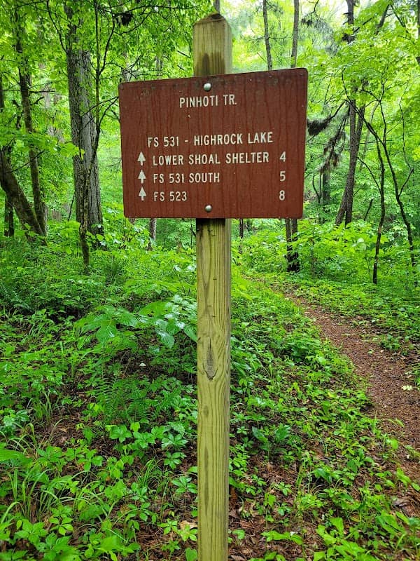 Pinhoti Trail FS 531 Crossing - Image 1