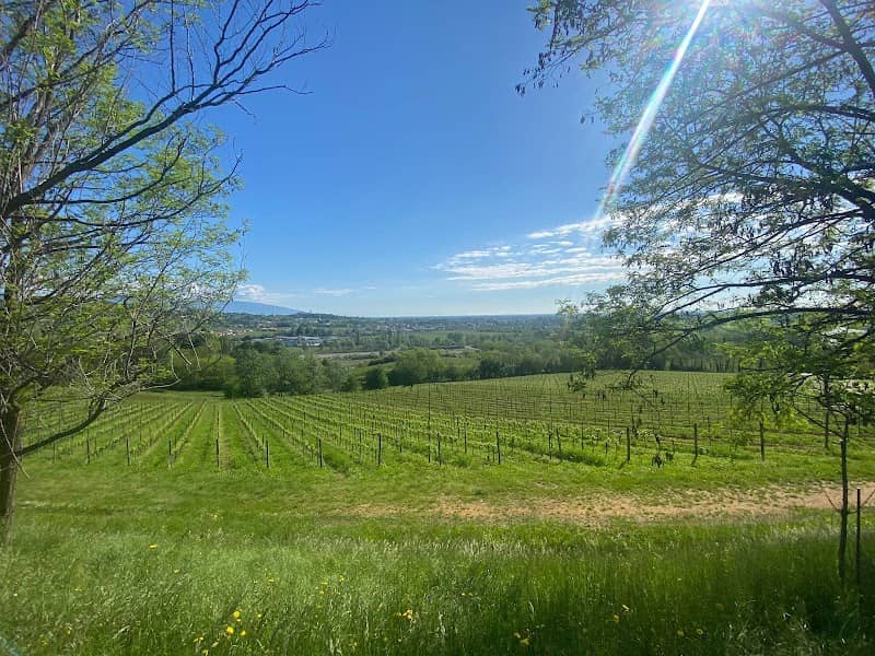 Montello - Image 1