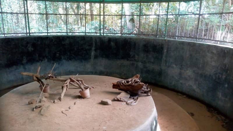 Snake Park - Image 1