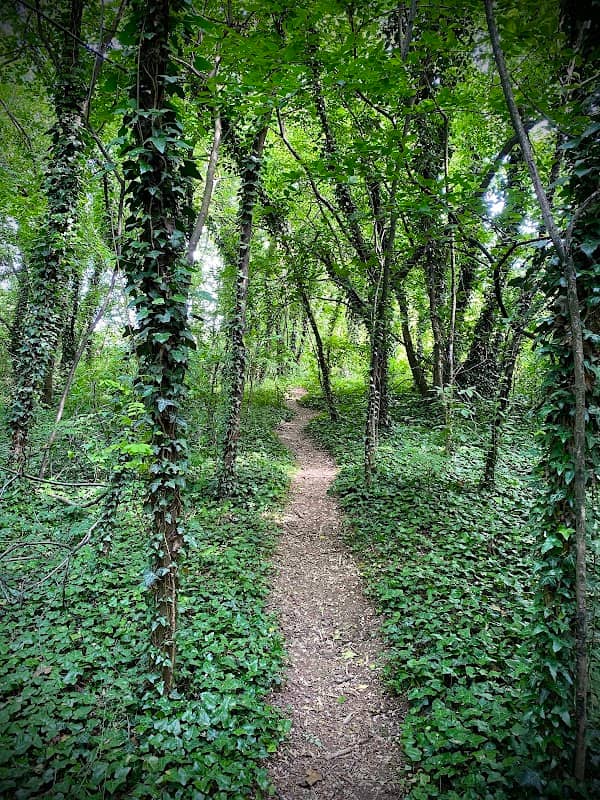Parco Del Roccolo - Image 1