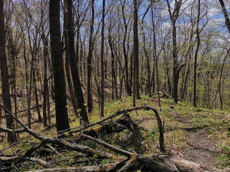 Haskell Noyes Memorial Woods State Natural Area - Image 1