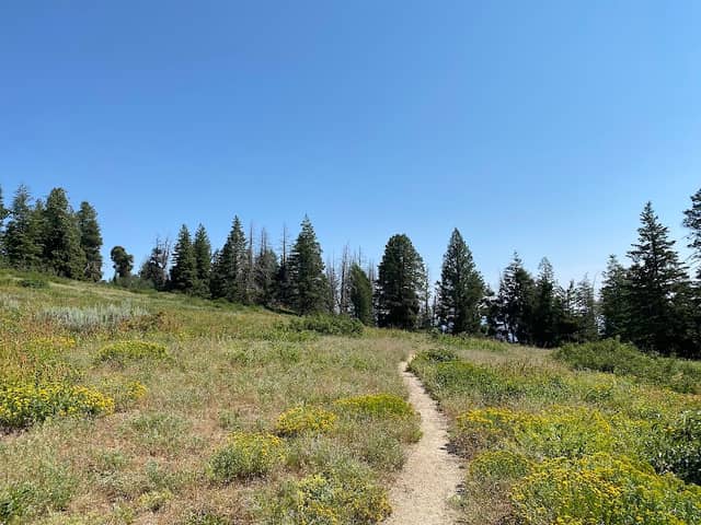 Mores Mountain Loop Trailhead - Image 2
