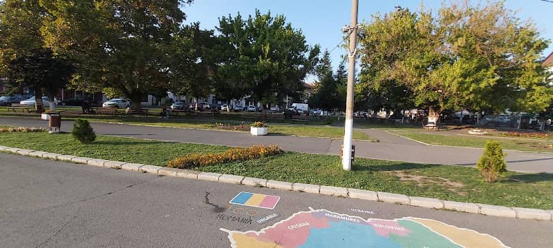 Parcul Central - Image 2