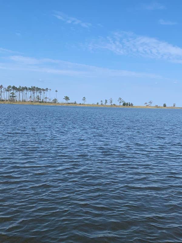 Pamlico Point Waterfowl Impoundment - Image 2