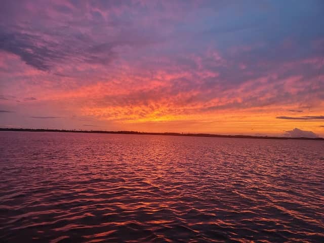 Pamlico Point Waterfowl Impoundment - Image 1