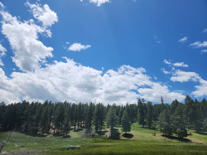 Olympic Park, ANGEL FIRE RESORT - Image 2