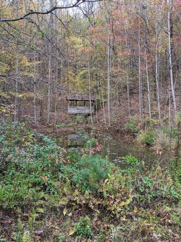 Arrowhead Pond - Image 1
