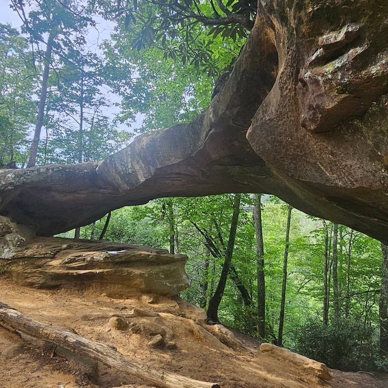 Red River Gorge Geological Area - Image 3