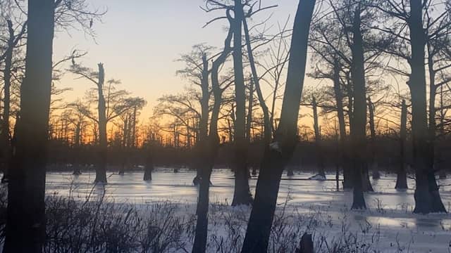 Opilwalacha Cypress Slough - Image 1