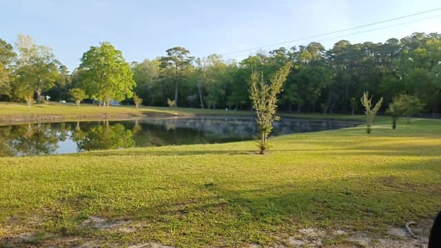 Little River Neck Park - Image 3