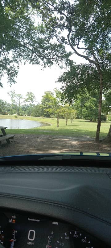 Little River Neck Park - Image 2