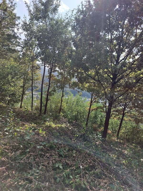 Vf. Osoi - Image 1