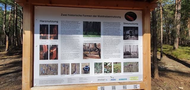2 Historische Formen der Waldnebennutzung - Image 1