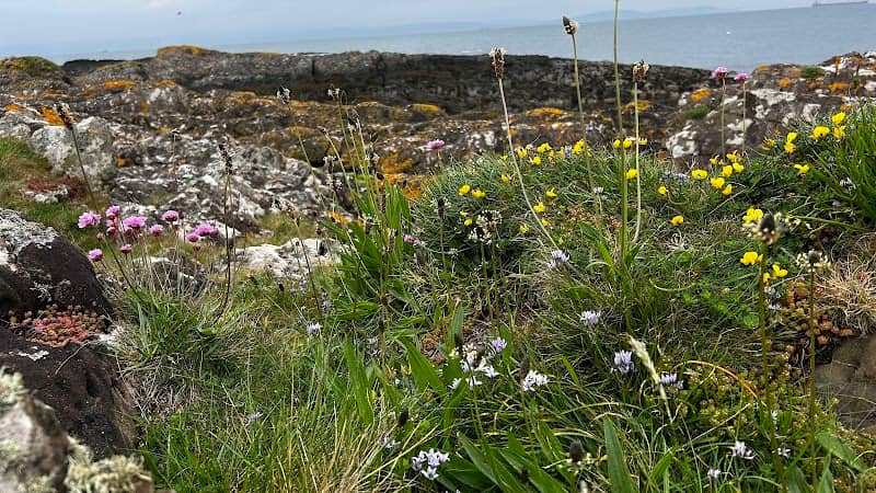 Ballymacormick Point - Image 1